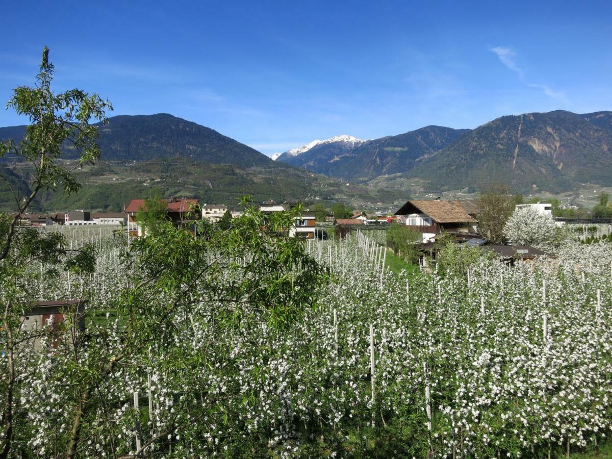 Апартаменти Feldererhof Postal / Burgstall Екстер'єр фото